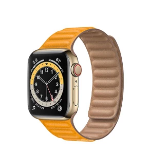 Apple Watch 6 44 mm