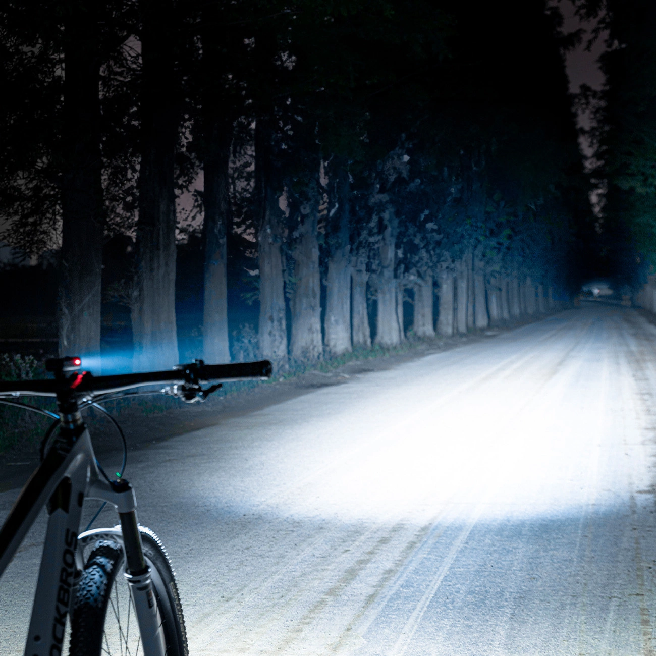 The road illuminated by the Rockbros RHL600 bicycle light